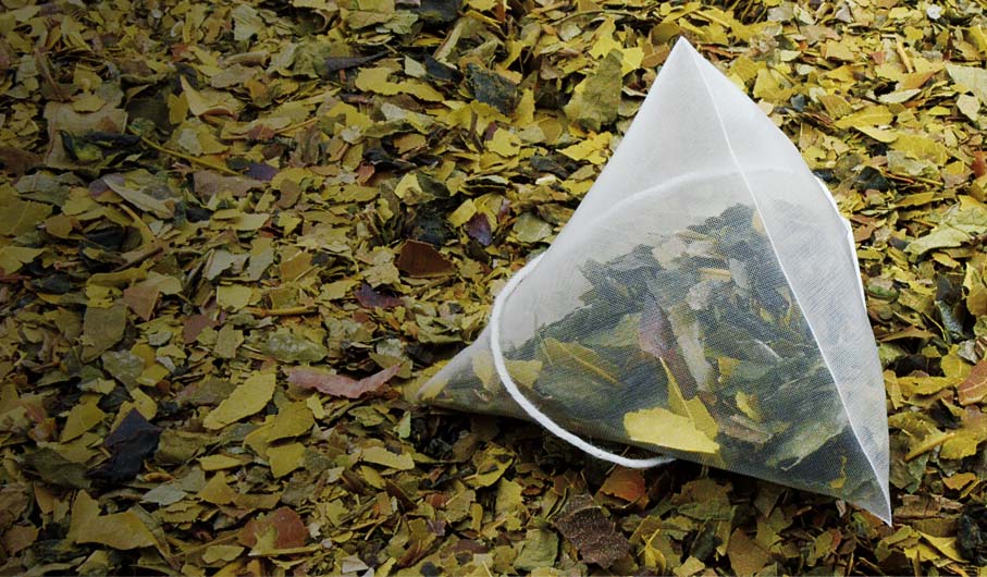 Cleansing detoxification tea in pyramid tea bag